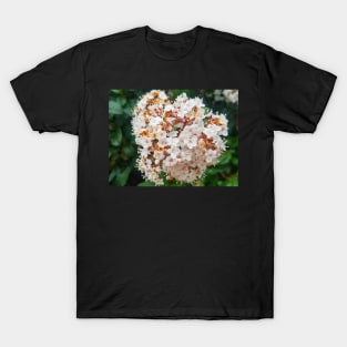 White Flower T-Shirt